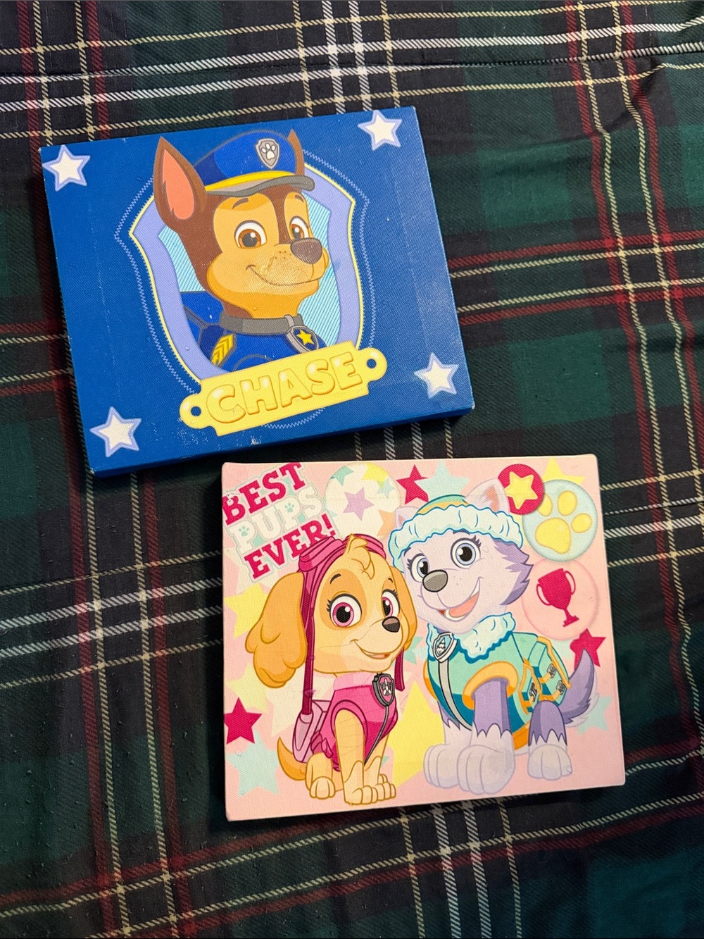 Children’s PAW PATROL CANVAS pictures 🐶🐾